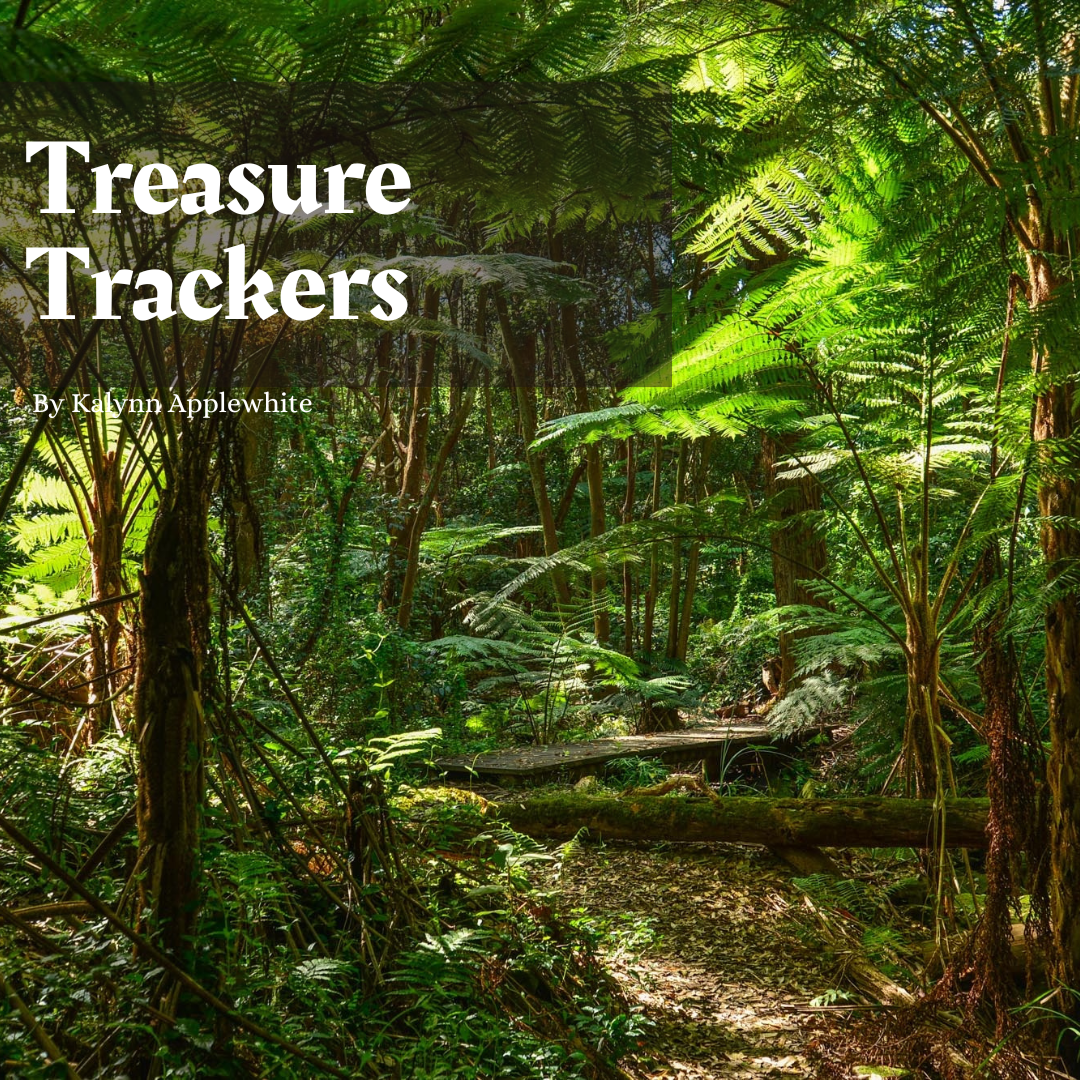 Isla Oro: Location & Gambling Guide for DnD5e (PDF)
